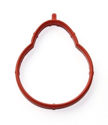 EMME MANİFOLD CONTASI E36/E46-M43 92>95