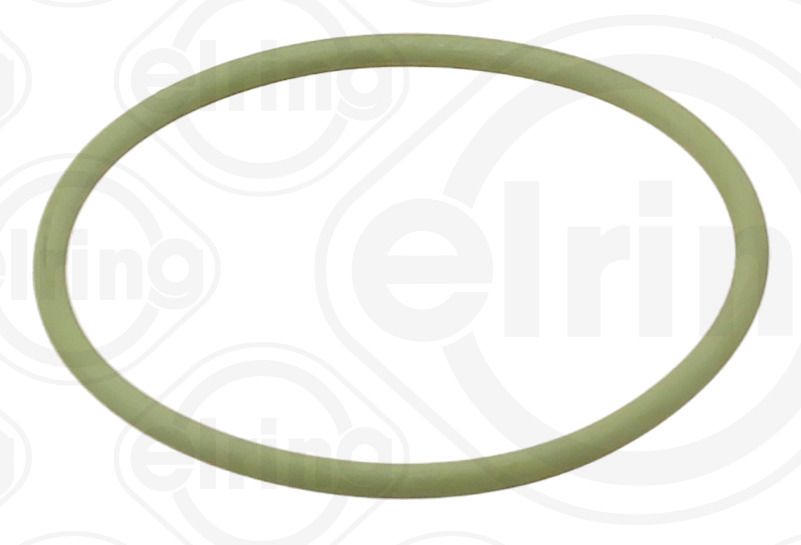O-RİNG